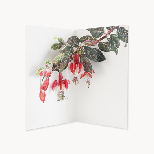 Fuchsia Flower Pop Up Card