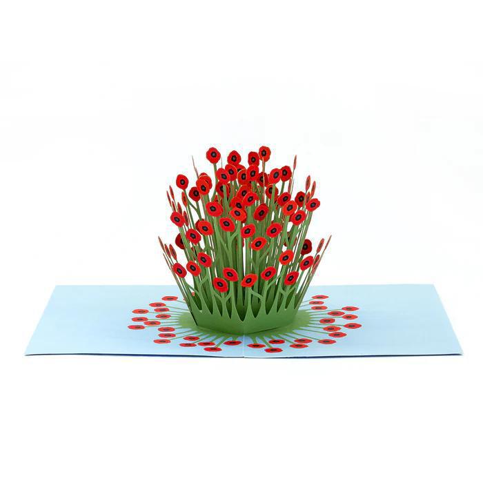 Pop Up Card