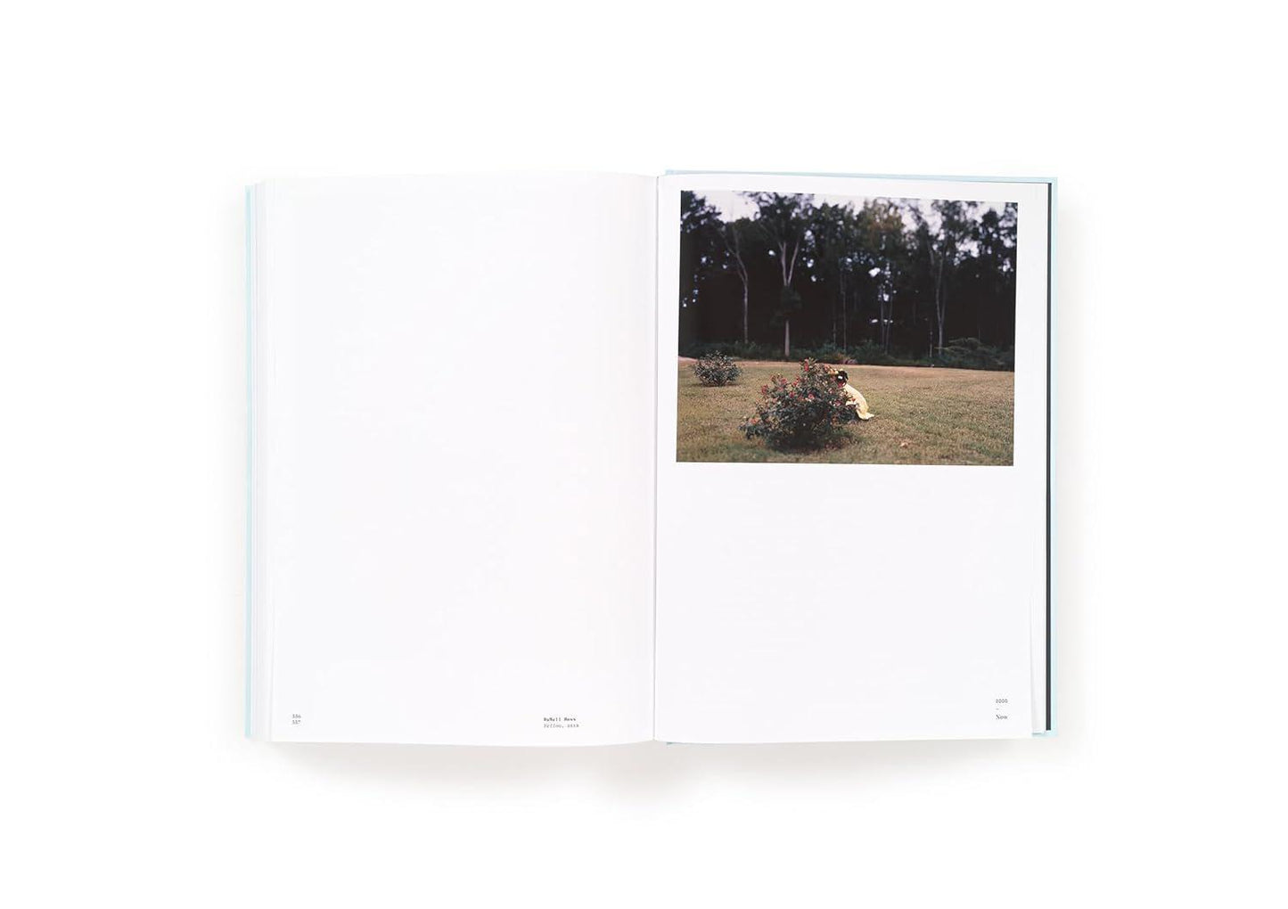 Long Arc: Photography and the American South