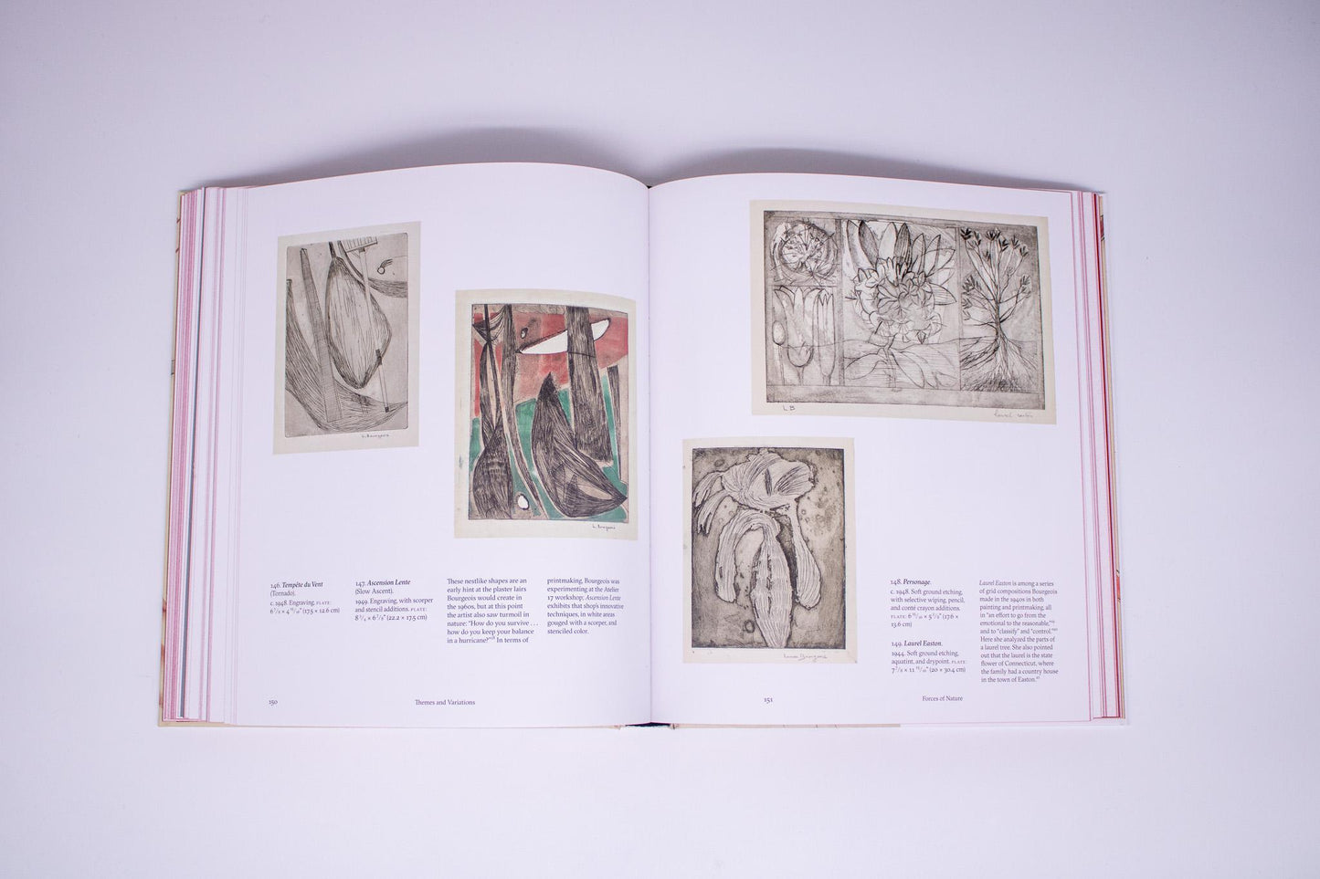 Louise Bourgeois: An Unfolding Portrait