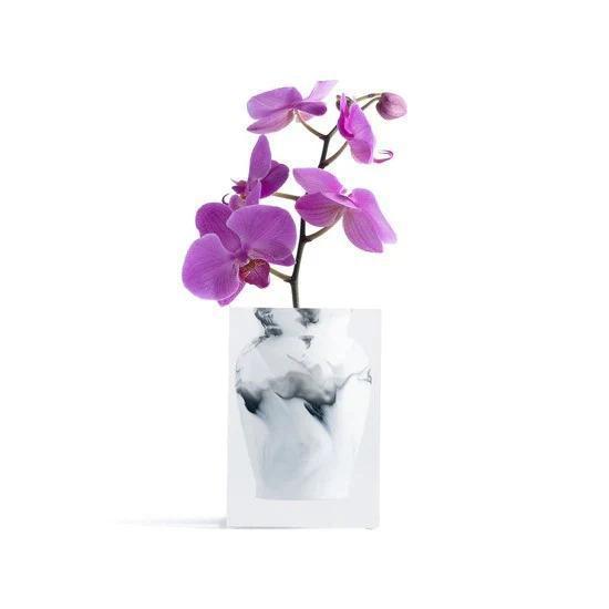 Henry Vase Jr William