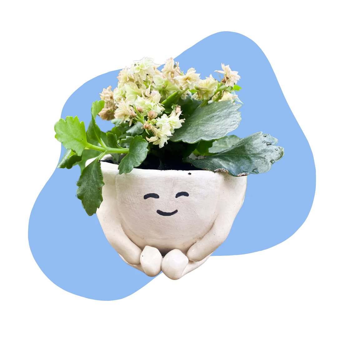 Pinch Pot Pottery Kit