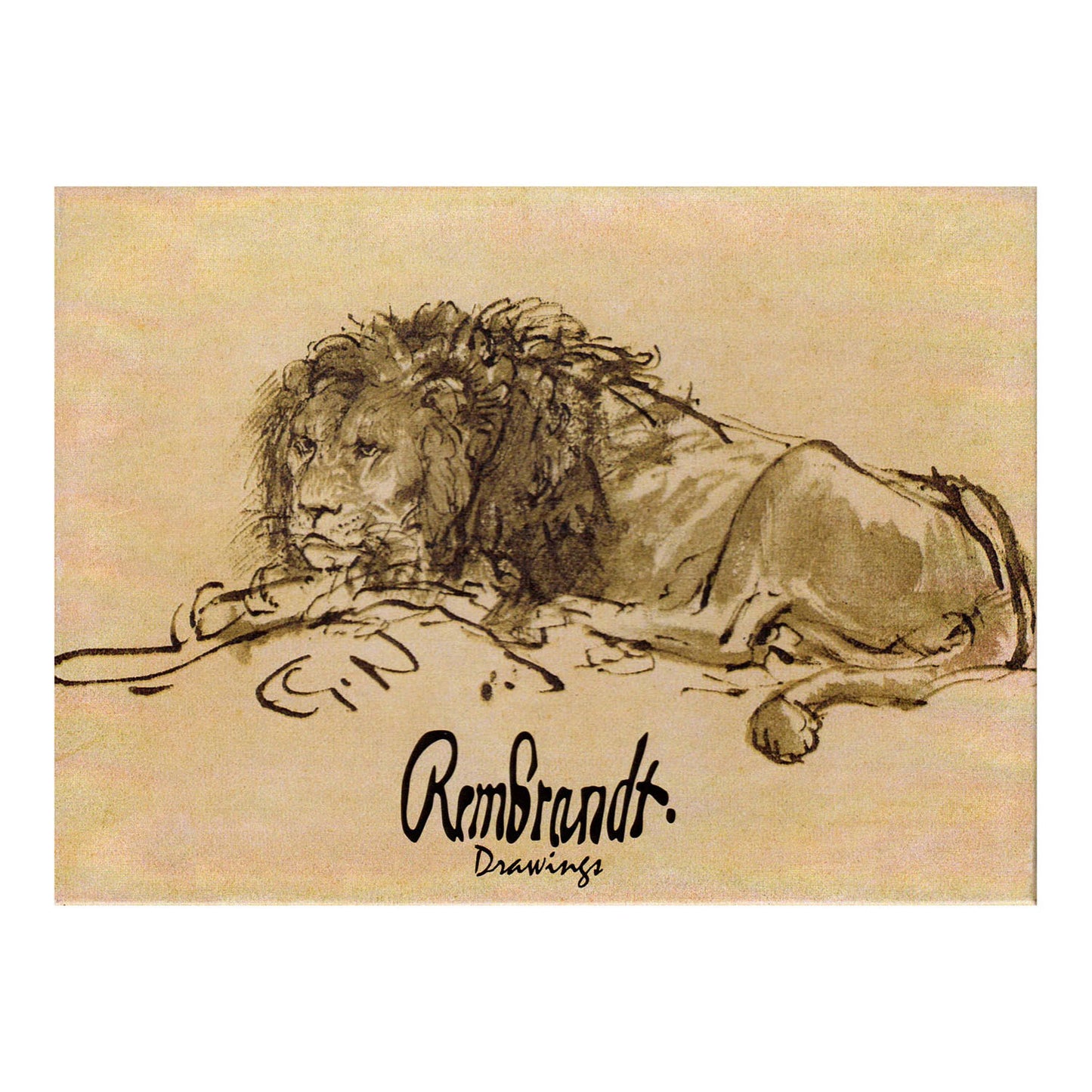 Rembrandt Drawings Boxed Note Card Set