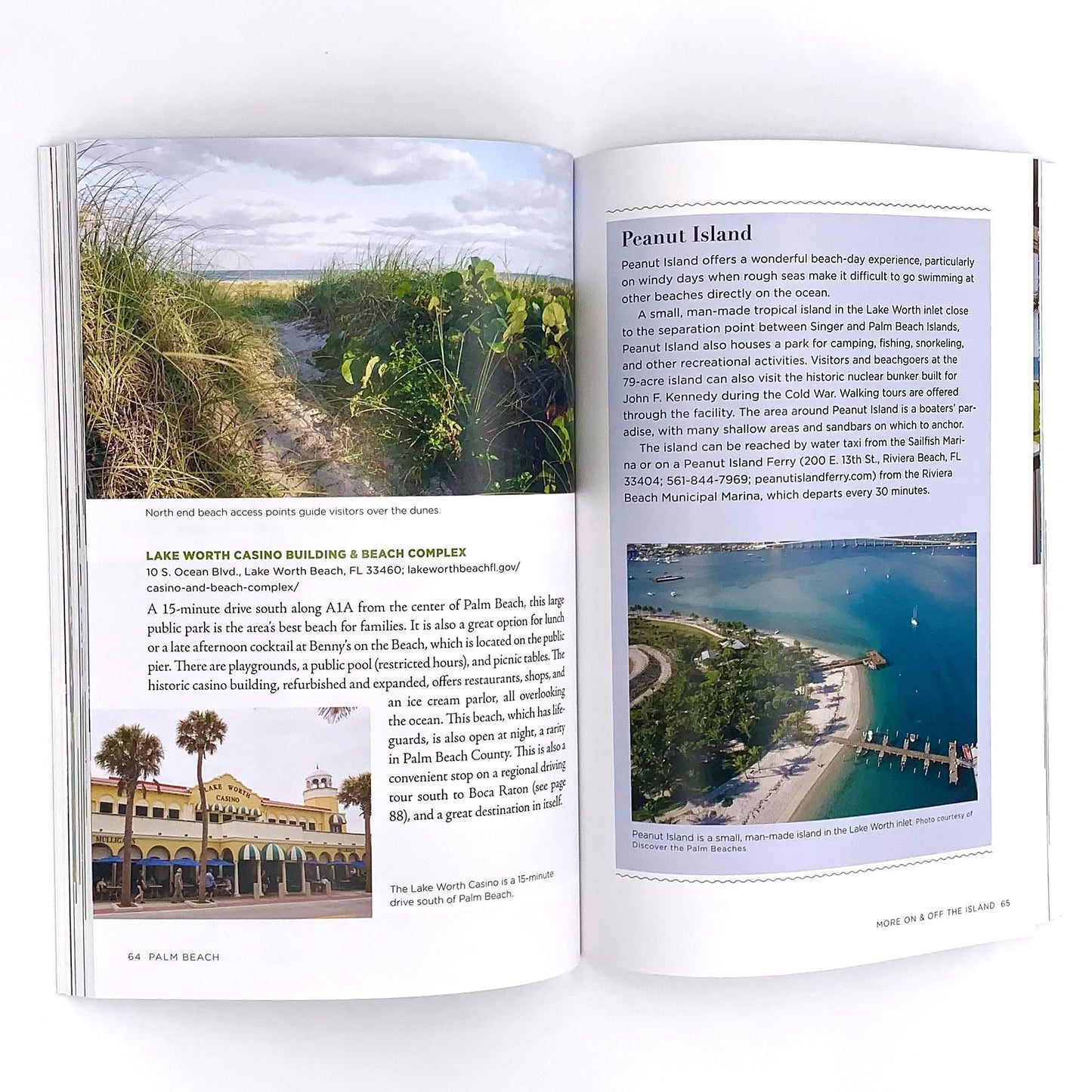 Palm Beach: Essential Guide