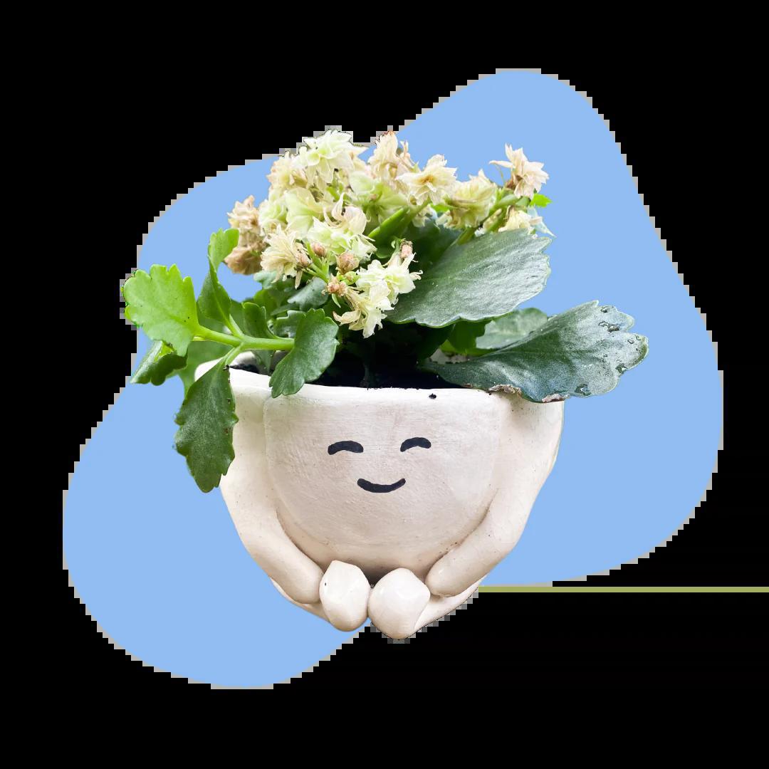 PWP01-Pinch Pot Pottery Kit