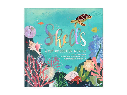 Shells: A Pop-Up Book of Wonder
