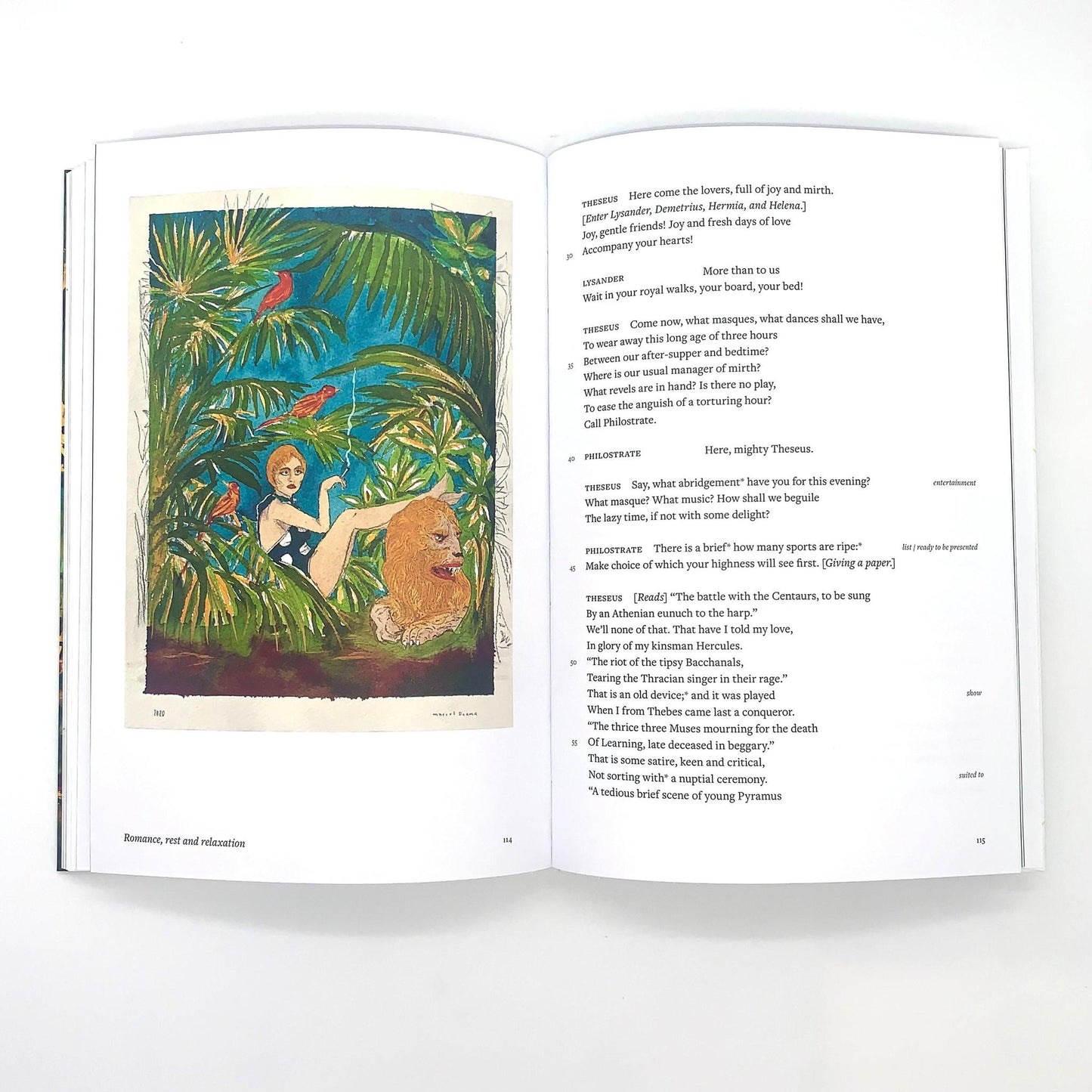 Marcel Dzama: Illustrated Midsummer Night's Dream